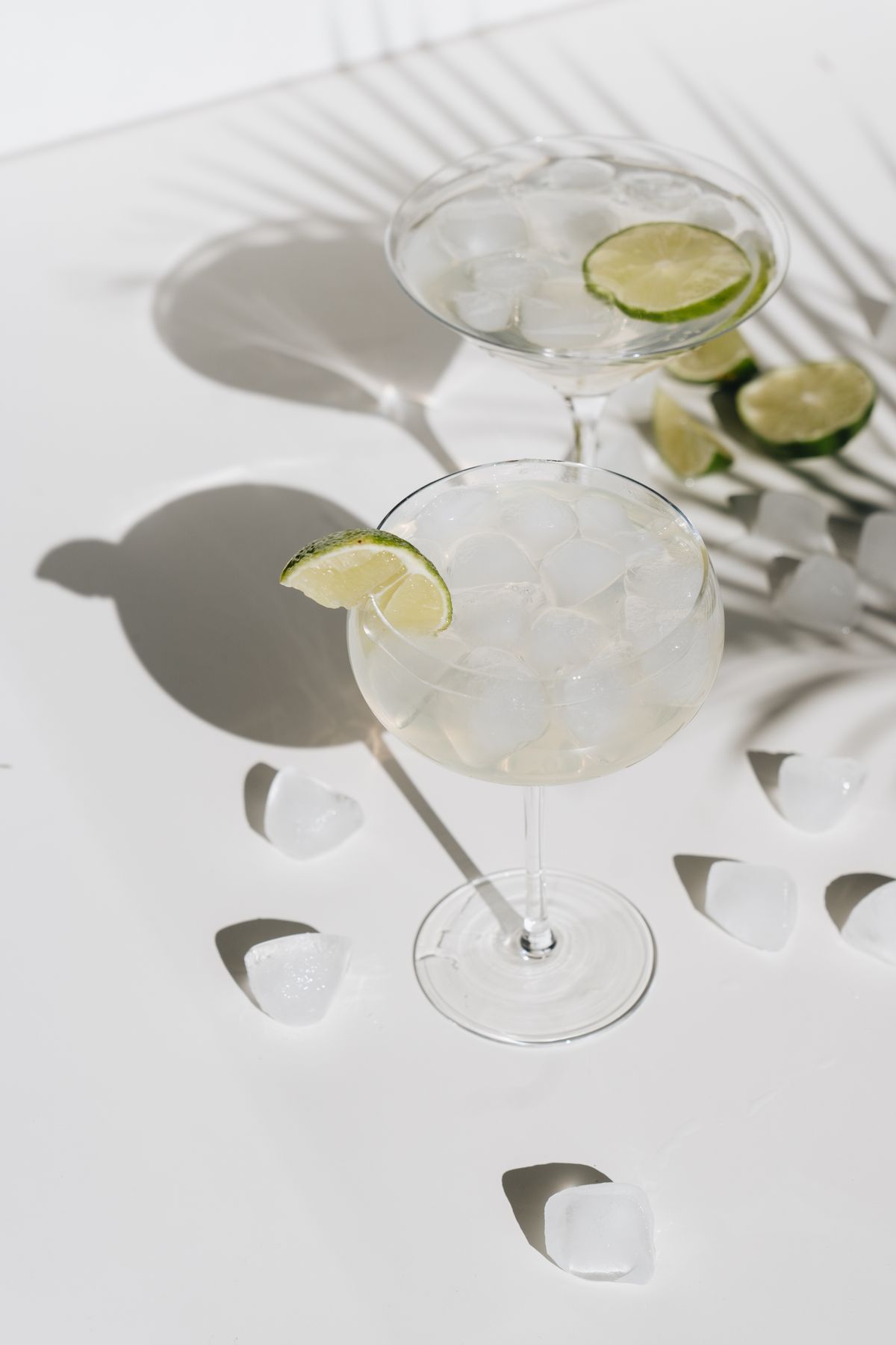 Paloma